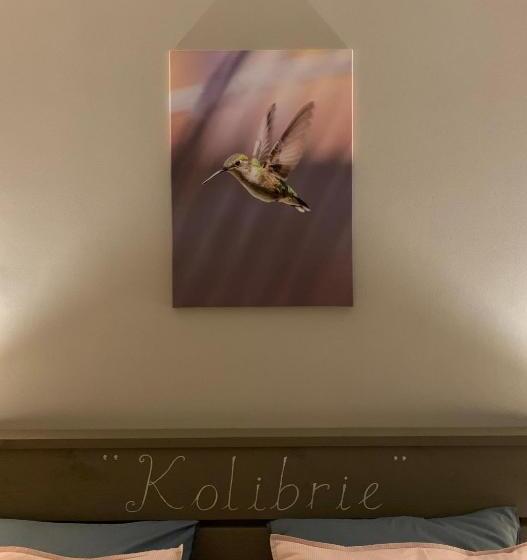 اتاق لوکس با چشمانداز باغ, Tala Lodge Bonaire