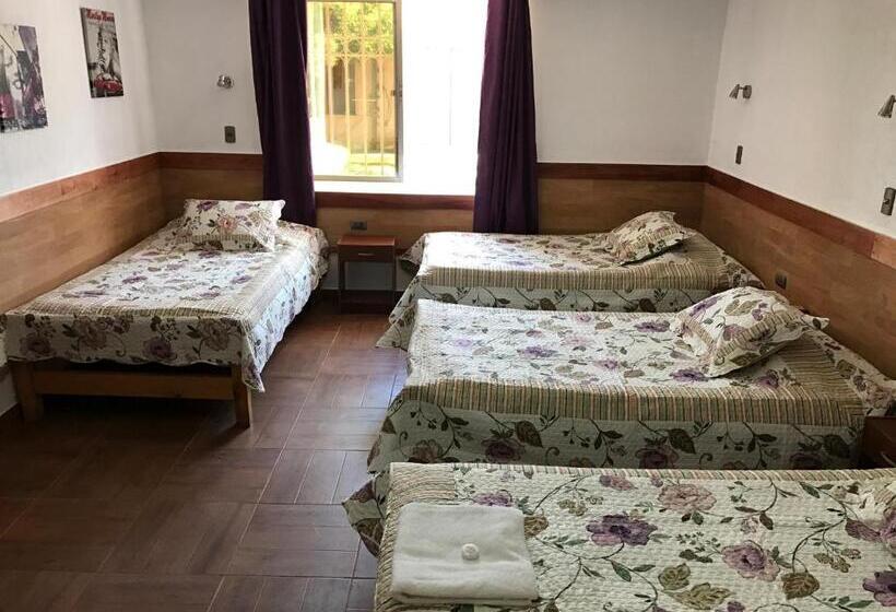 패밀리 룸, Residencial Victoria Said