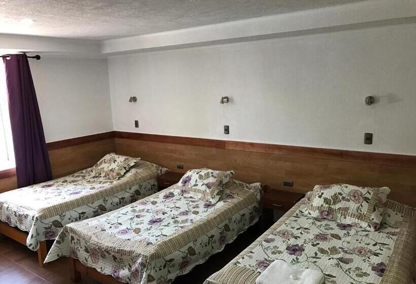 패밀리 룸, Residencial Victoria Said