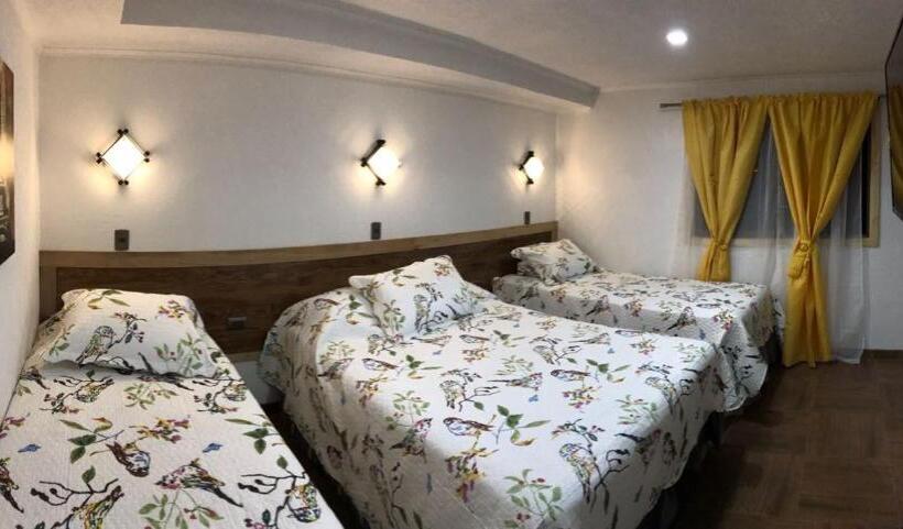 디럭스 스위트, Residencial Victoria Said