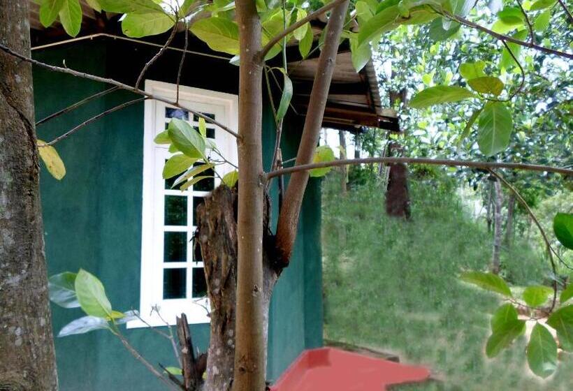 デラックスルーム, Green Lantern