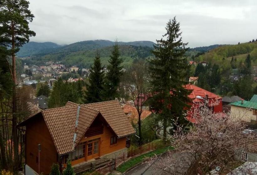 シティビュースイート, Casa Adina