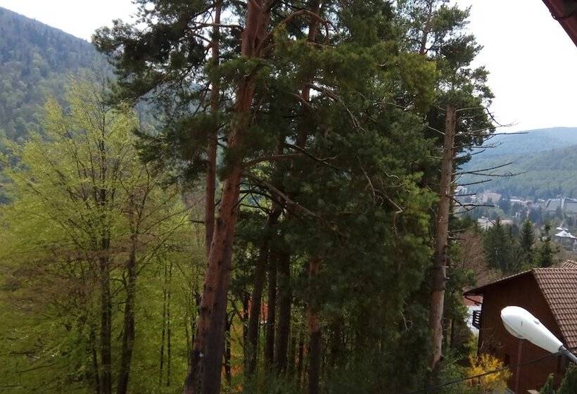 マウンテンビューファミリールーム, Casa Adina