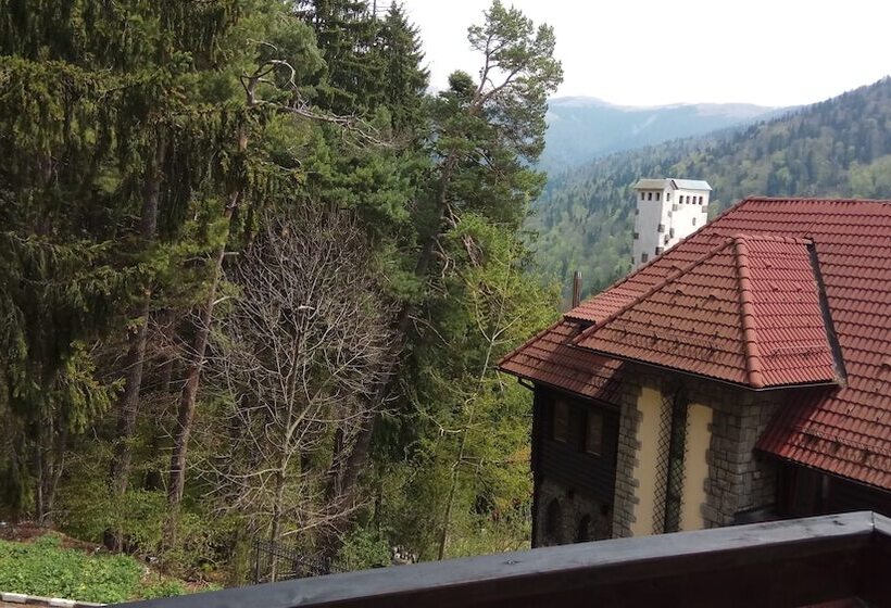 マウンテンビュースタンダードルーム, Casa Adina