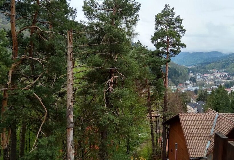 マウンテンビュースタンダードルーム, Casa Adina