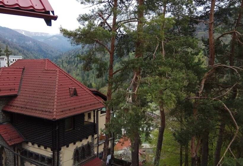 マウンテンビュースタンダードルーム, Casa Adina