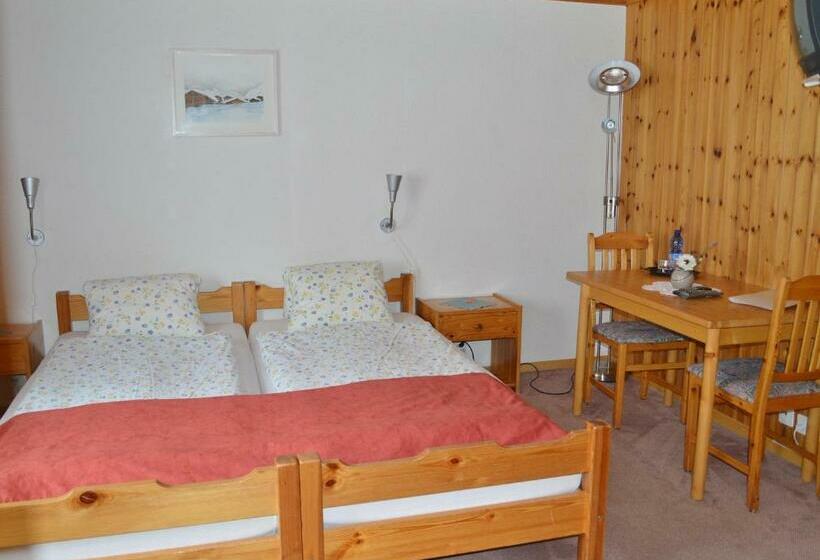 חדר אקונומי, Grimsel