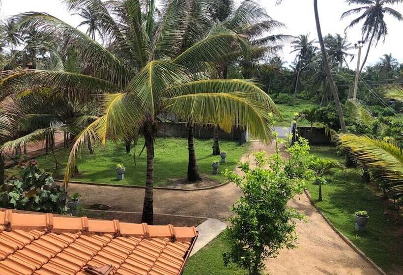 غرفة قياسية, C J Beach Resort