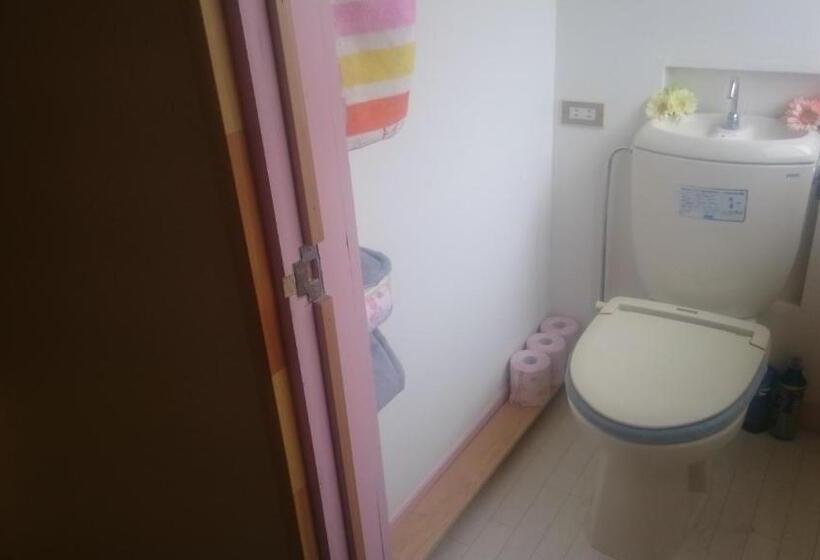 Номер Basic, Pittinn