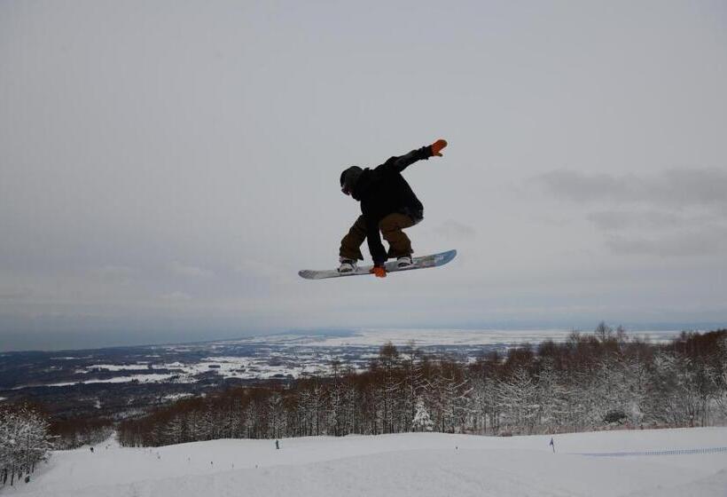 Номер Basic, Pittinn