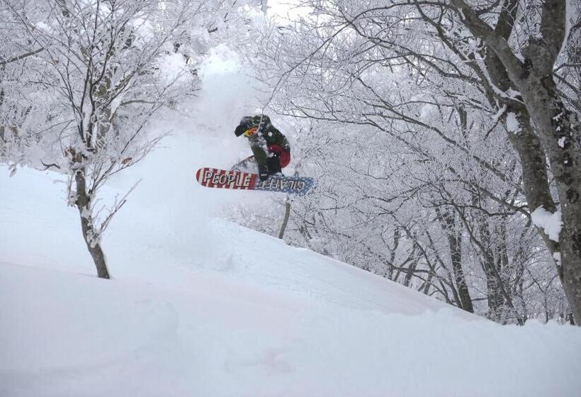 Номер Basic, Pittinn