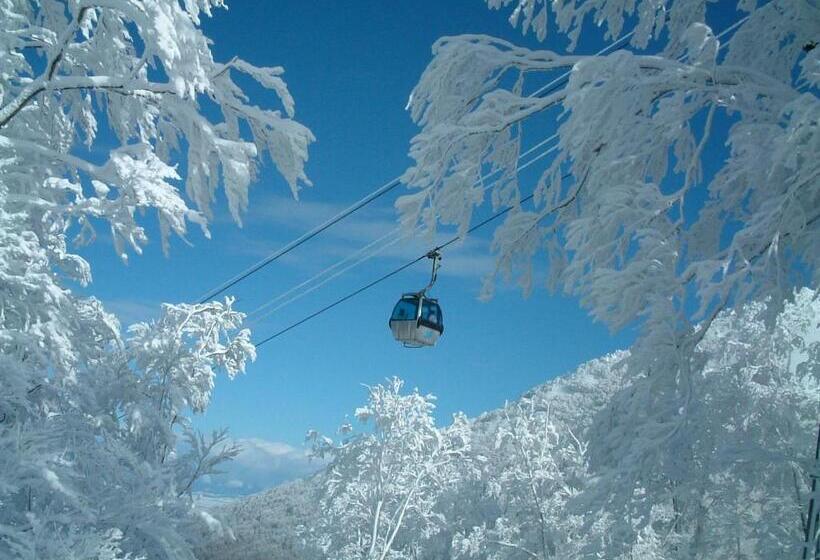 Номер Basic, Pittinn