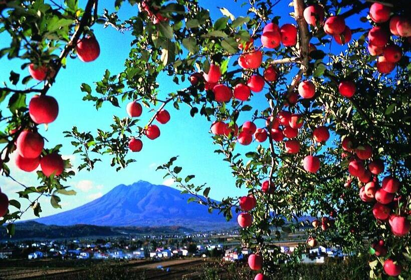 Семейный Номер Совместный Санузел, Pittinn