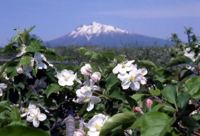 Семейный Номер Совместный Санузел, Pittinn