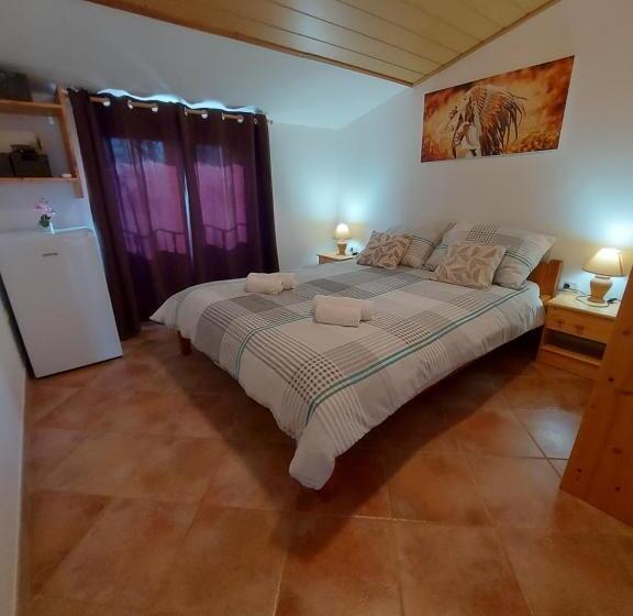 スタンダードルーム, Ranch Radin