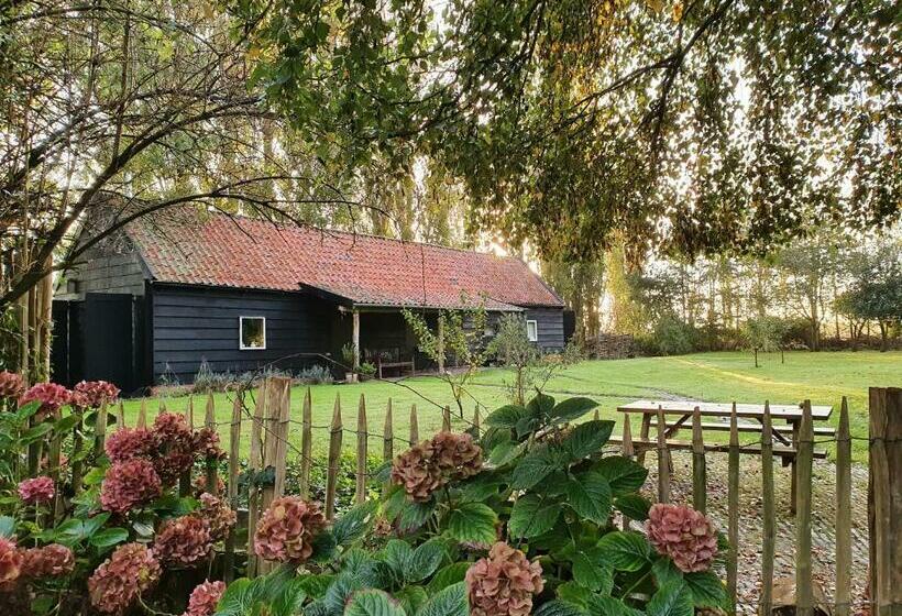 Номер Стандарт, De Zeeuwsche Hoeve