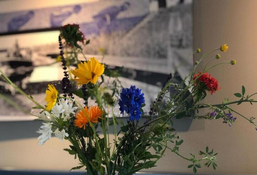 منزل غرفتين نوم, Elfstedenstate