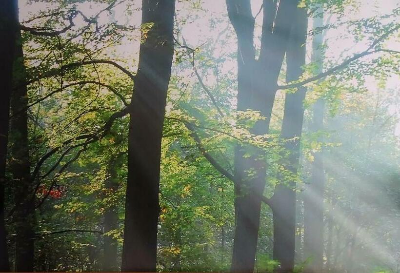 חדר סטנדרט עם מרפסת, Hcr Prinsen