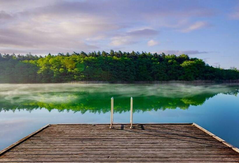 公園の見えるスタンダードルーム, Jagdschloss Waldsee