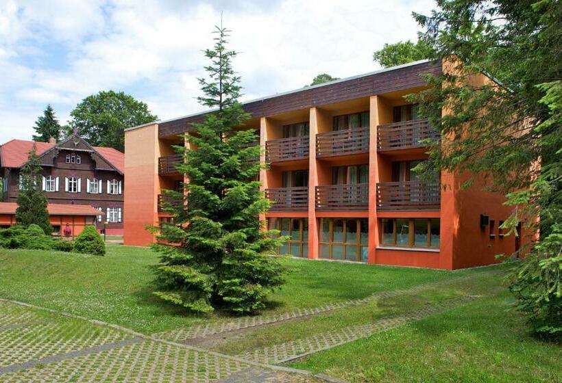 חדר סטנדרט נוף לפארק, Jagdschloss Waldsee
