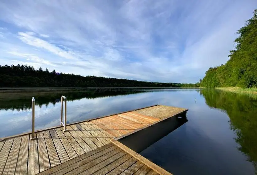 １ベッドルームベーシックアパートメント, Jagdschloss Waldsee