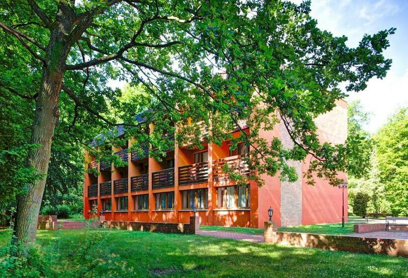 １ベッドルームベーシックアパートメント, Jagdschloss Waldsee