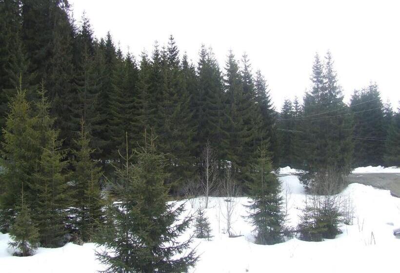 חדר סטנדרט לשלושה עם מרפסת, Complex Transalpina Lac