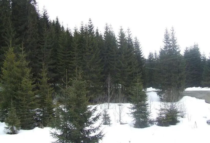 اتاق استاندارد سه تخته با بالکن, Complex Transalpina Lac