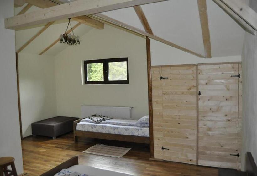 חדר משפחתי, Complex Transalpina Lac