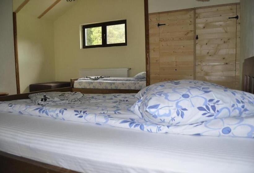 חדר משפחתי, Complex Transalpina Lac