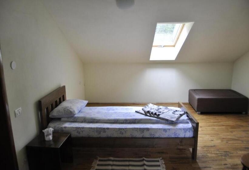 חדר משפחתי, Complex Transalpina Lac