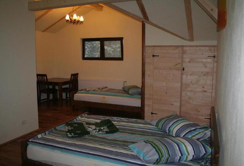 חדר משפחתי, Complex Transalpina Lac