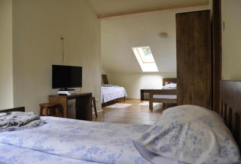 חדר משפחתי, Complex Transalpina Lac