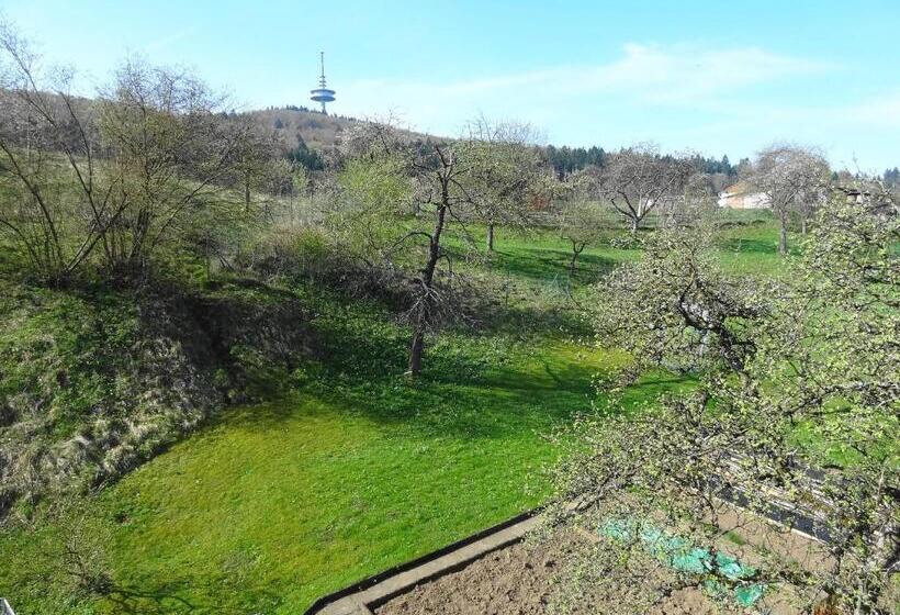 חדר סטנדרט, Gasthof Zum Hohen Lohr