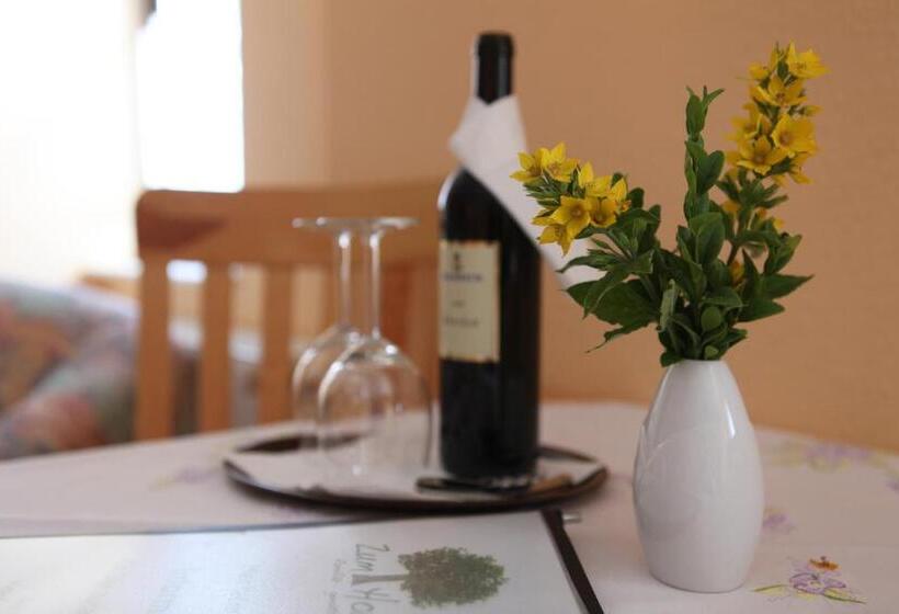 חדר סטנדרט, Gasthof Zum Hohen Lohr