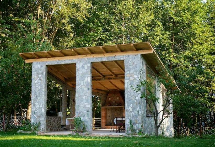 스탠다드 룸, Moara Viselor