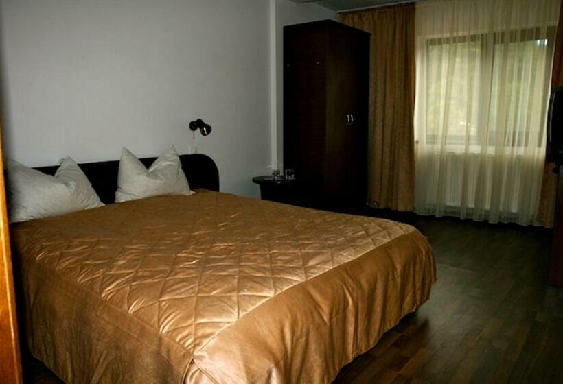 스탠다드 룸, Moara Viselor