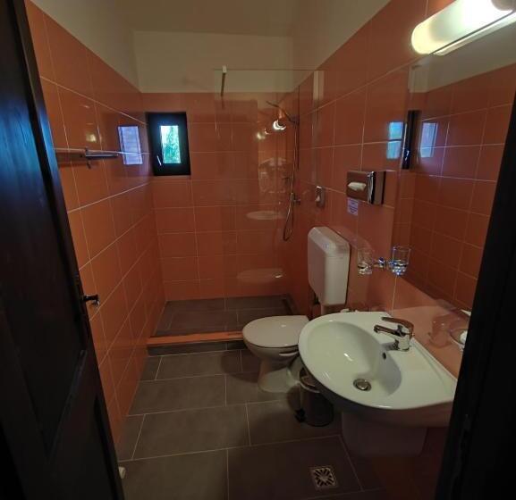 Номер Economy, Pensiunea Casa Moga