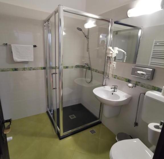 חדר סטנדרט, Pensiunea Casa Moga