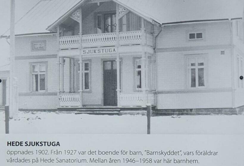 스탠다드 싱글 룸, Sonfjällsgårdens Wärdshus & Hotell