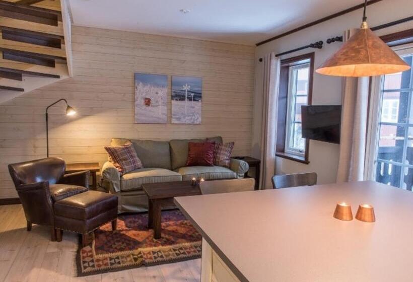 شقة غرفة واحدة, Vemdalsskalets Högfjällshotell & Lägenheter