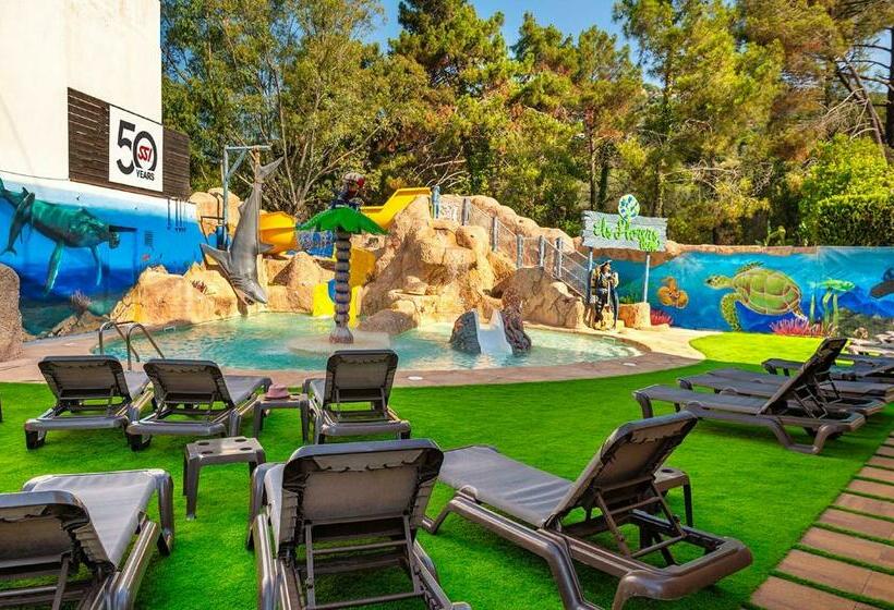 带1个卧室的公寓, Apartaments Els Llorers