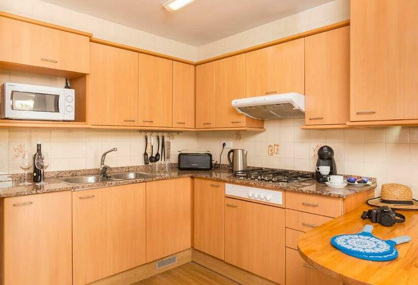 带1个卧室的豪华公寓, Apartaments Els Llorers