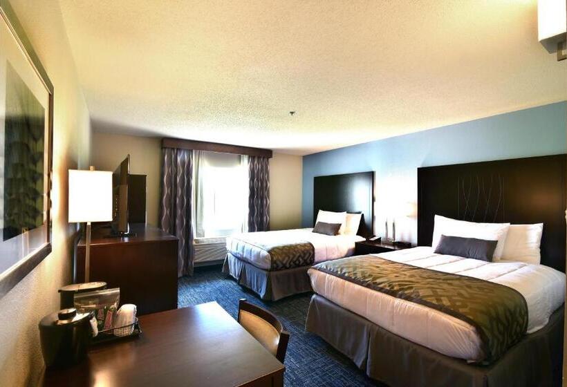 Номер Стандарт, Best Western Plus Flint Airport Inn & Suites