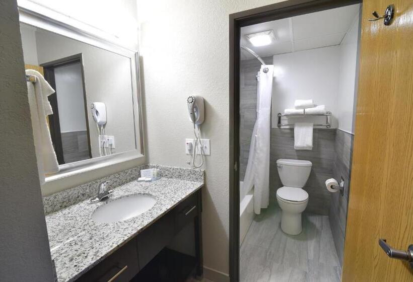 Стандартный Номер Кровать Кинг, Best Western Plus Flint Airport Inn & Suites