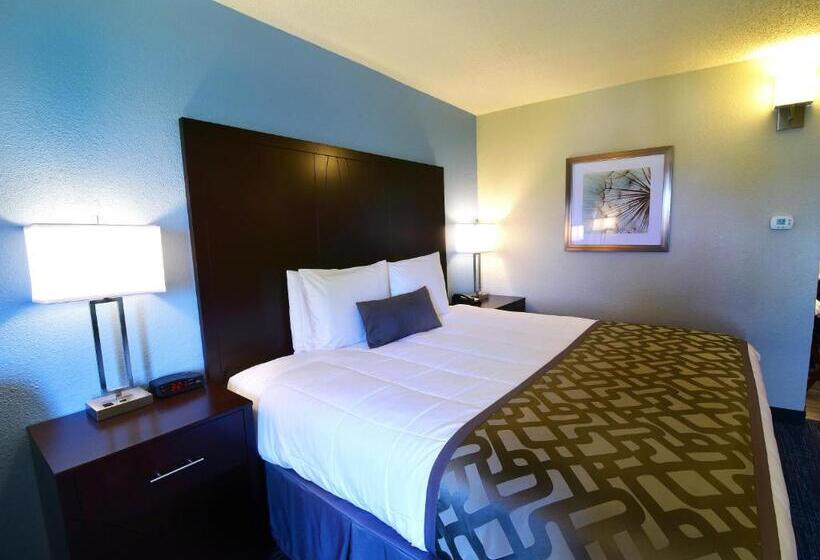 Номер Стандарт Адаптированный для Инвалидов, Best Western Plus Flint Airport Inn & Suites