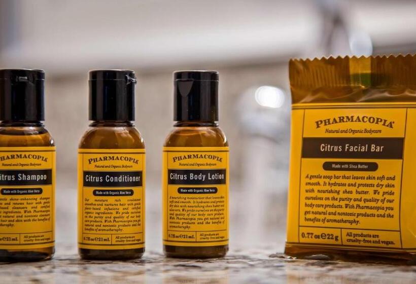 Номер Стандарт Адаптированный для Инвалидов, Best Western Plus Flint Airport Inn & Suites