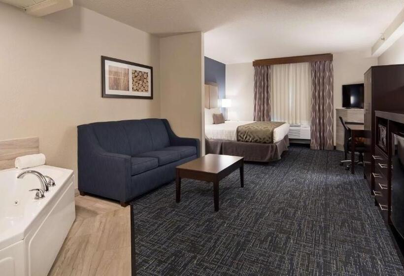 Люкс Кровать Кинг, Best Western Plus Flint Airport Inn & Suites