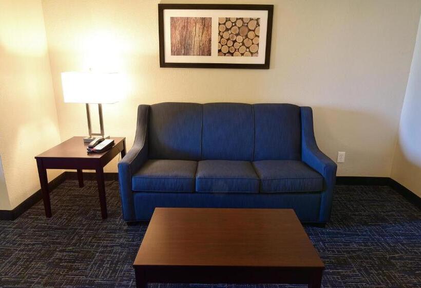 Люкс, Best Western Plus Flint Airport Inn & Suites