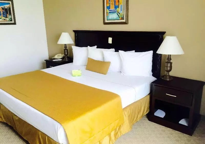 اتاق استاندارد با تخت بزرگ, Best Western Hotel Posada Del Rio Express